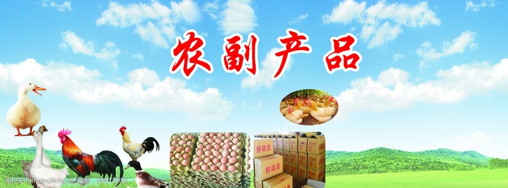 农副产品 从田间到生活的全景解读